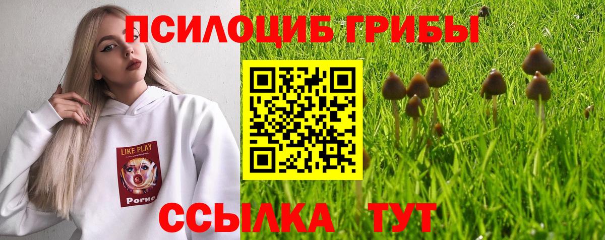 Галлюциногенные грибы мухоморы  Вход с VPN  Белебей  Псилоцибиновые грибы MAGIC MUSHROOMS 