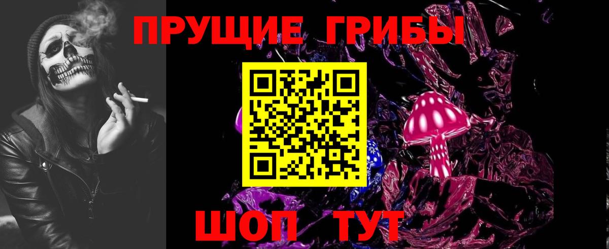 Псилоцибиновые грибы мицелий Белебей